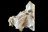 Selenite Crystals on Matrix - Mexico #71948-1